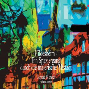 Book cover of Hildesheim - Ein Spaziergang durch die malerische Altstadt