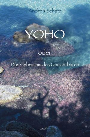 Cover of the book YOHO oder das Geheimnis des Unsichtbaren by Roman Plesky