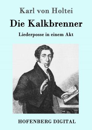 Cover of the book Die Kalkbrenner by Friedrich Gerstäcker