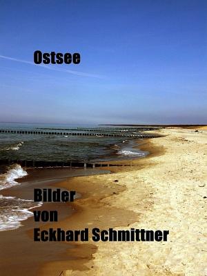 Cover of the book Ostsee by Valerie le Fiery