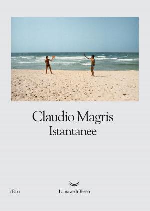 Cover of the book Istantanee by Guillaume Musso