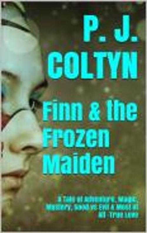 Cover of the book Finn & the Frozen Maiden by P. J. Coltyn, Wild Colonial Press