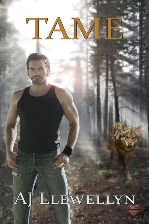 Cover of the book Tame by A.J. Llewellyn, MLR Press