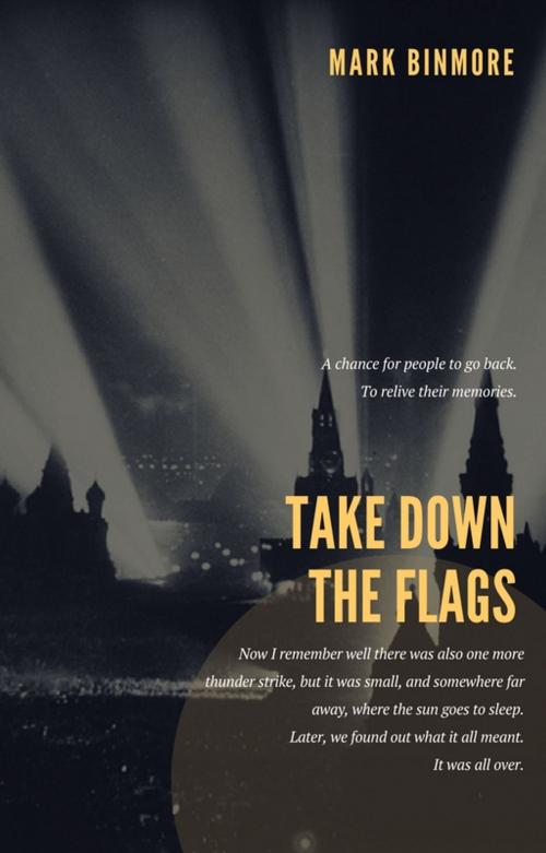 Cover of the book Take Down The Flags by Mark Binmore, Kindlight