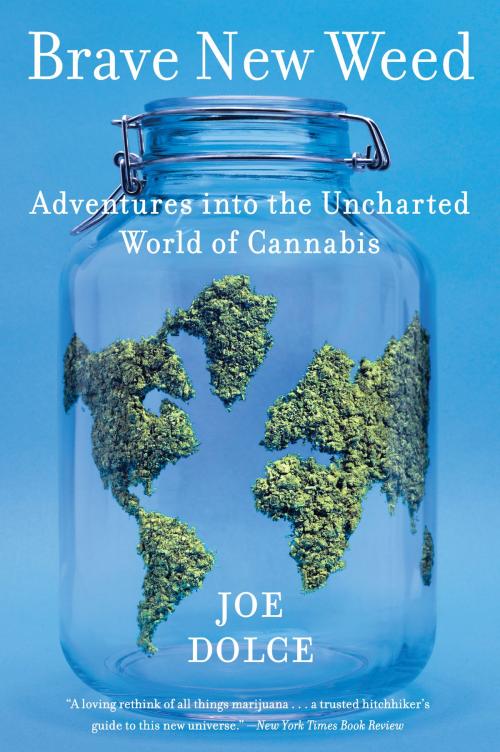 Cover of the book Brave New Weed by Joe Dolce, Harper Wave