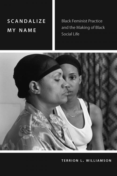 Cover of the book Scandalize My Name by Terrion L. Williamson, Fordham University Press