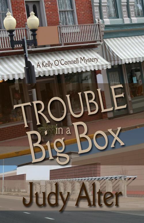 Cover of the book Trouble in a Big Box by Judy Alter, Alter Ego Publishing