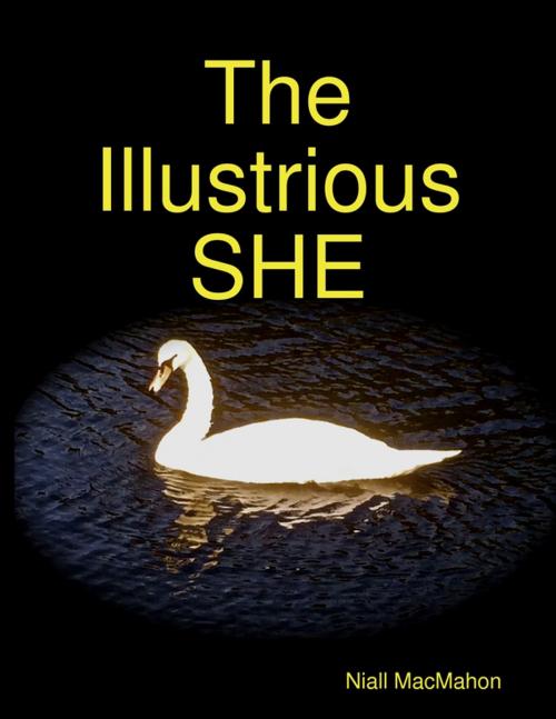 Cover of the book The Illustrious She by Niall MacMahon, Lulu.com