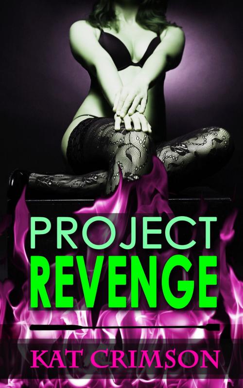 Cover of the book Project Revenge: Punishment for the Cheater by Kat Crimson, Kat Crimson