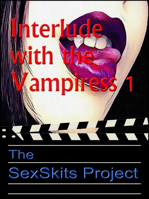 Cover of the book Interlude with the Vampiress by The SexSkits Project, The SexSkits Project