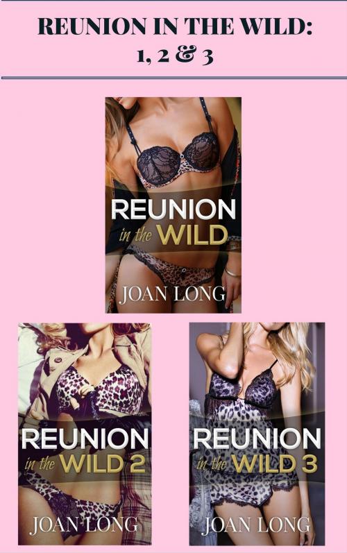 Cover of the book Reunion in the Wild: 1, 2 & 3 by Joan Long, AW Publishing