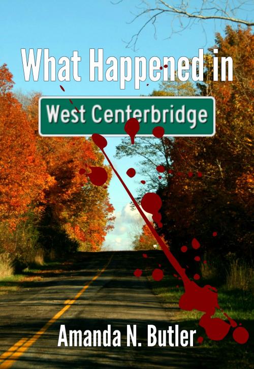 Cover of the book What Happened in West Centerbridge by Amanda N. Butler, Amanda N. Butler