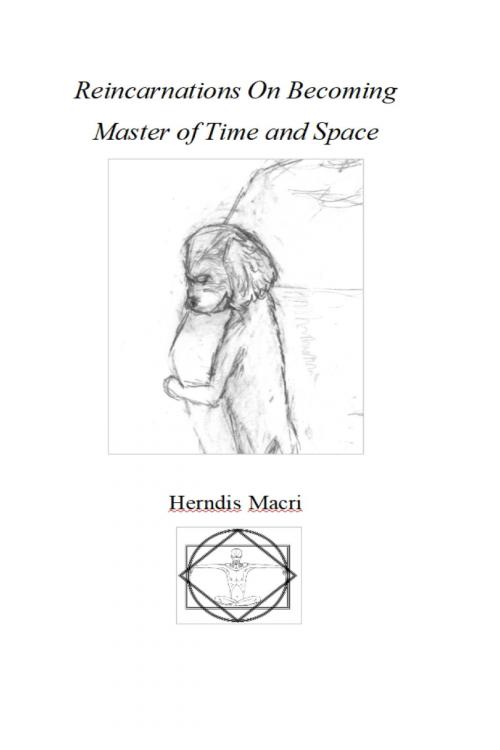 Cover of the book Reincarnations On Becoming Master of Time and Space by Herndis Macri, Herndis Macri