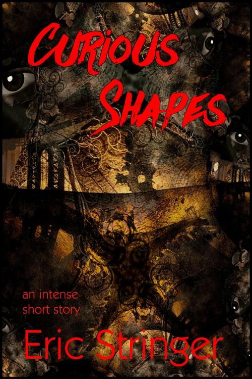 Cover of the book Curious Shapes by Eric Stringer, StoneThread Publishing