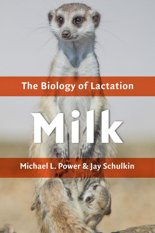 Cover of the book Milk by Michael L. Power, Jay Schulkin, Johns Hopkins University Press