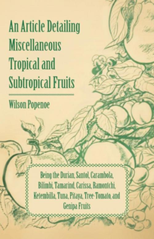 Cover of the book An Article Detailing Miscellaneous Tropical and Subtropical Fruits by Wilson Popenoe, Read Books Ltd.