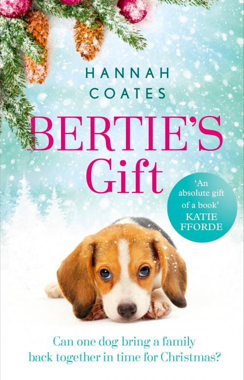 Cover of the book Bertie's Gift by Hannah Coates, Hodder & Stoughton