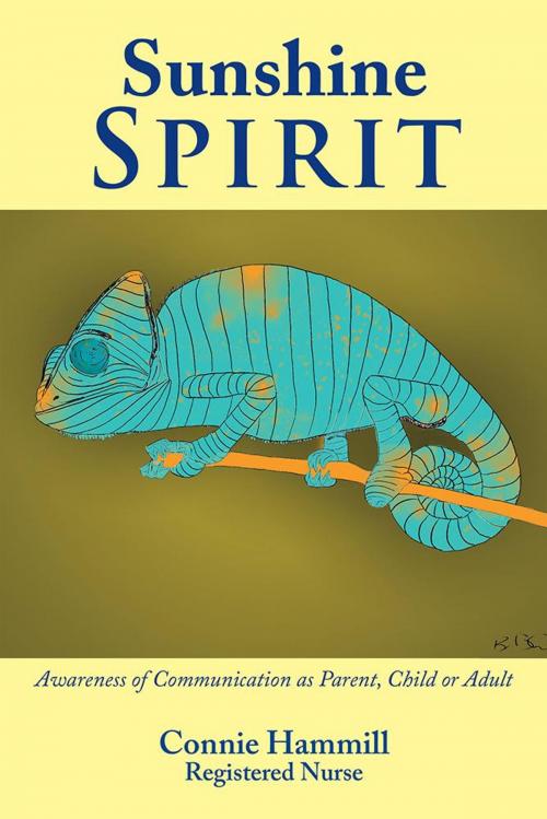 Cover of the book Sunshine Spirit by Connie Hammill, Balboa Press