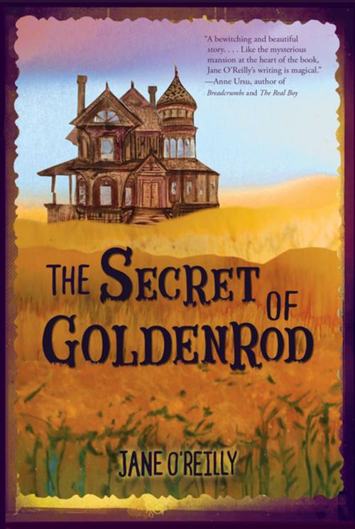 Cover of the book The Secret of Goldenrod by Jane O'Reilly, Lerner Publishing Group