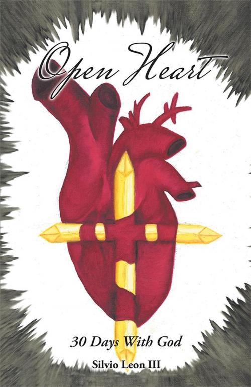 Cover of the book Open Heart by Silvio Leon III, WestBow Press