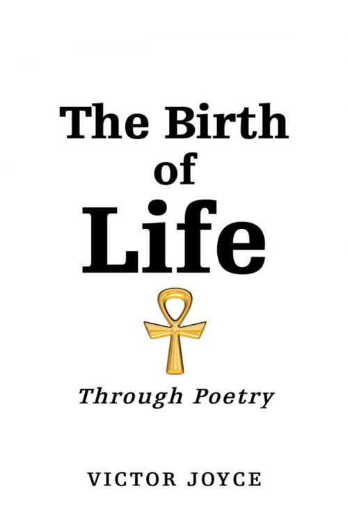 Cover of the book The Birth of Life by Victor Joyce, AuthorHouse