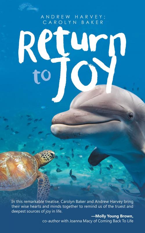 Cover of the book Return to Joy by Andrew Harvey, Carolyn Baker, iUniverse