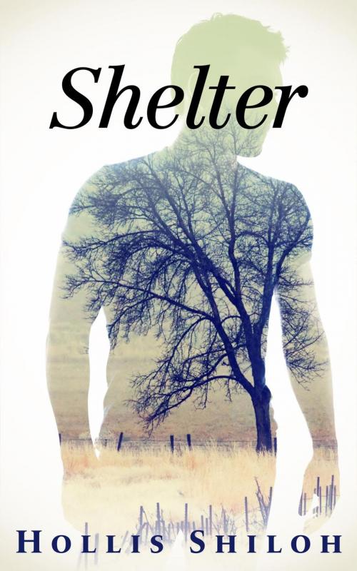 Cover of the book Shelter by Hollis Shiloh, Spare Words Press