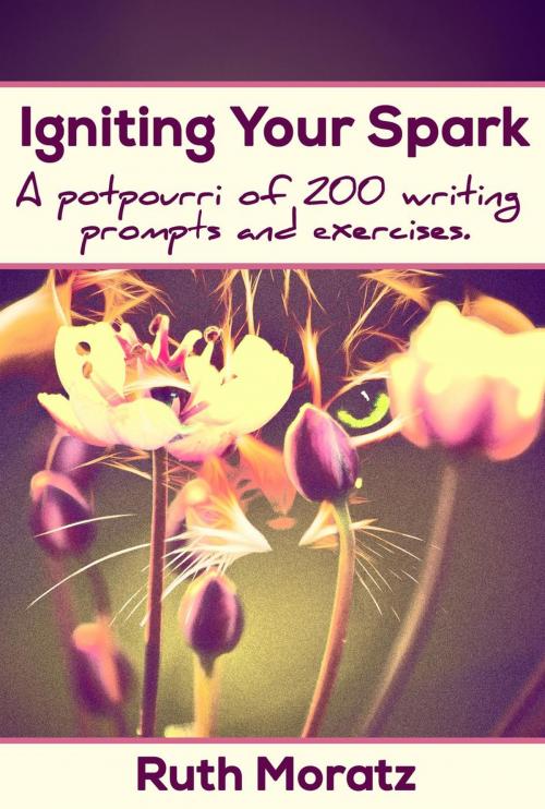 Cover of the book Igniting Your Spark by Ruth Moratz, Ruth Moratz