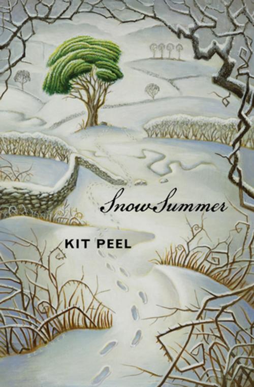 Cover of the book Snow Summer by Kit Peel, Groundwood Books Ltd