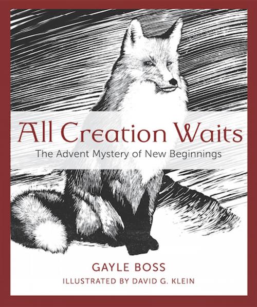 Cover of the book All Creation Waits by Gayle Boss, Paraclete Press