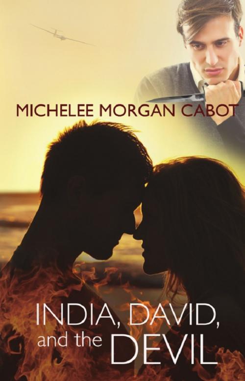 Cover of the book India, David, and the Devil by Michelee Morgan Cabot, Wheatmark, Inc.