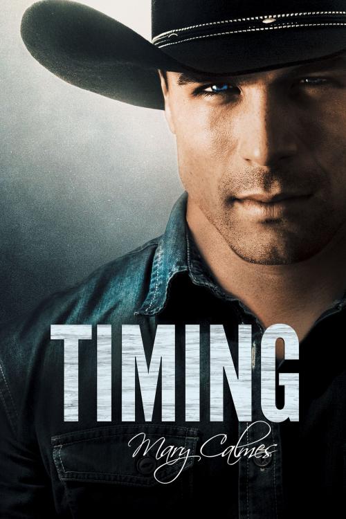 Cover of the book Timing by Mary Calmes, Dreamspinner Press