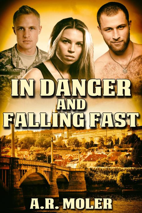 Cover of the book In Danger and Falling Fast by A.R. Moler, JMS Books LLC