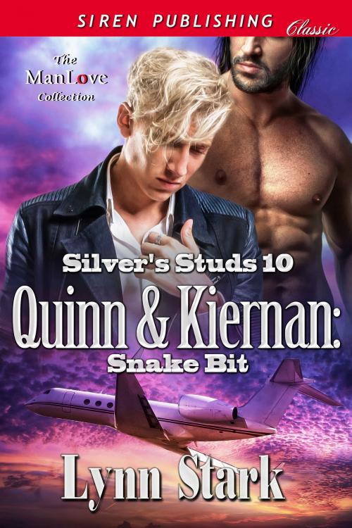 Cover of the book Quinn & Kiernan: Snake Bit by Lynn Stark, Siren-BookStrand