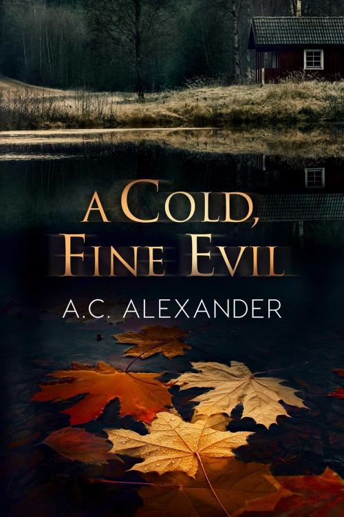 Cover of the book A Cold, Fine Evil by A.C. Alexander, Torrid Books