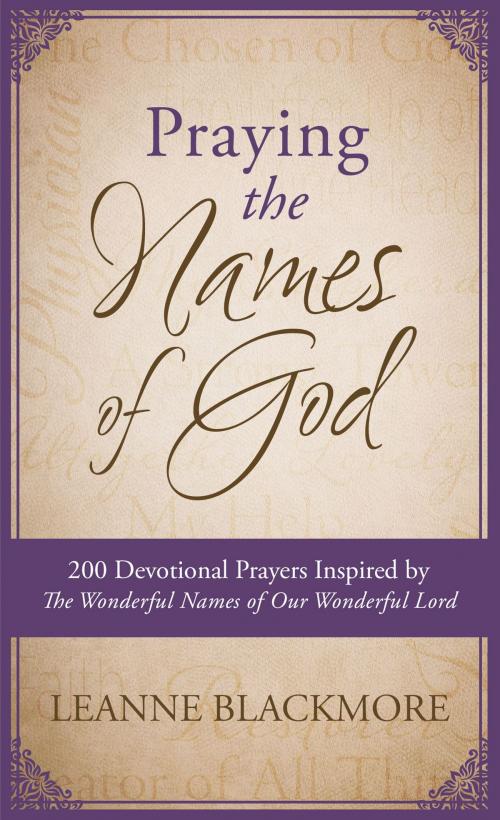 Cover of the book Praying the Names of God by LeAnne Blackmore, Barbour Publishing, Inc.