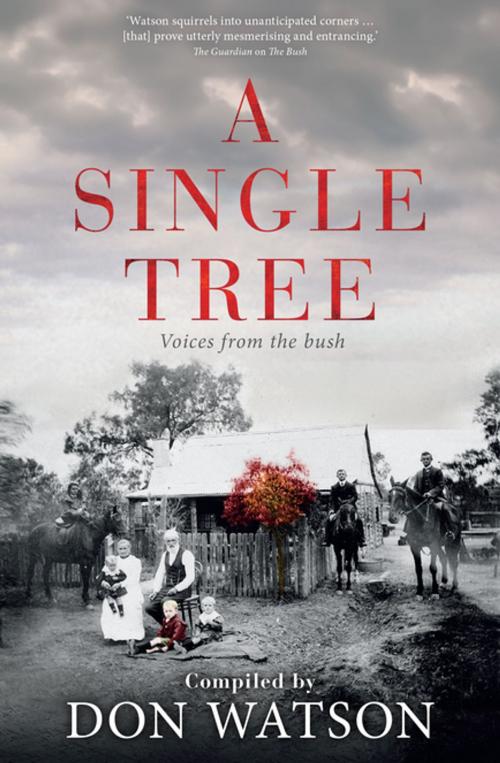 Cover of the book A Single Tree by Don Watson, Penguin Books Ltd