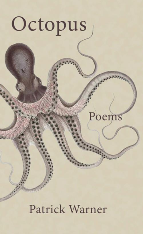 Cover of the book Octopus by Patrick Warner, Biblioasis