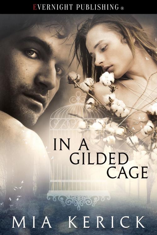 Cover of the book In a Gilded Cage by Mia Kerick, Evernight Publishing