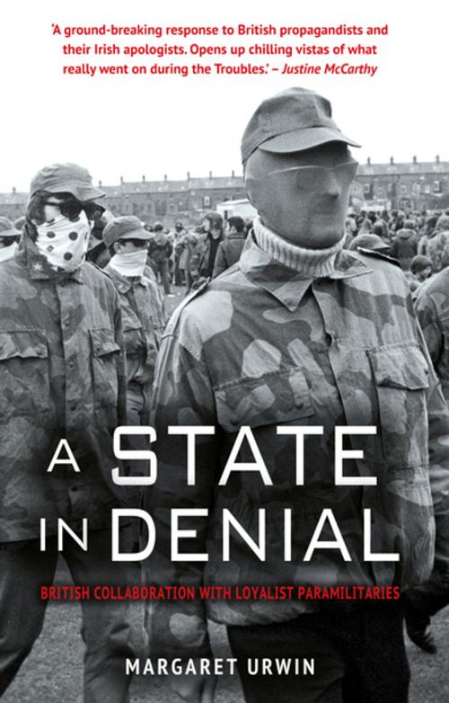 Cover of the book A State in Denial: by Margaret Urwin, Mercier Press