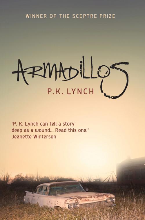 Cover of the book Armadillos by Pauline Lynch, Legend Times Group