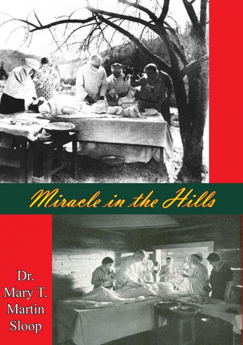 Cover of the book Miracle in the Hills by Dr. Mary T. Martin Sloop, Golden Springs Publishing