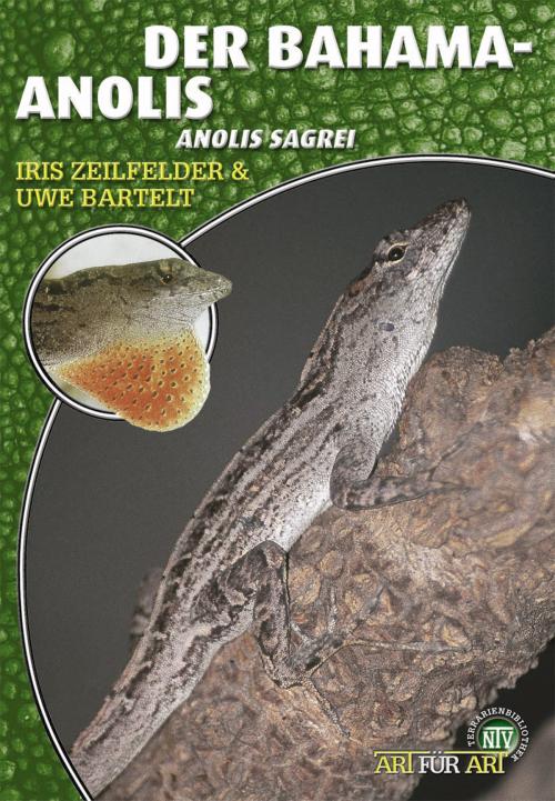 Cover of the book Der Bahama-Anolis by Iris Zeilfelder, Uwe Bartelt, Natur und Tier - Verlag