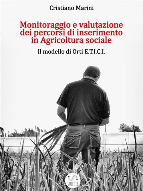 Cover of the book Monitoraggio e Valutazione dei Processi di Inserimento in Agricoltura Sociale by Cristiano Marini, Cristiano Marini