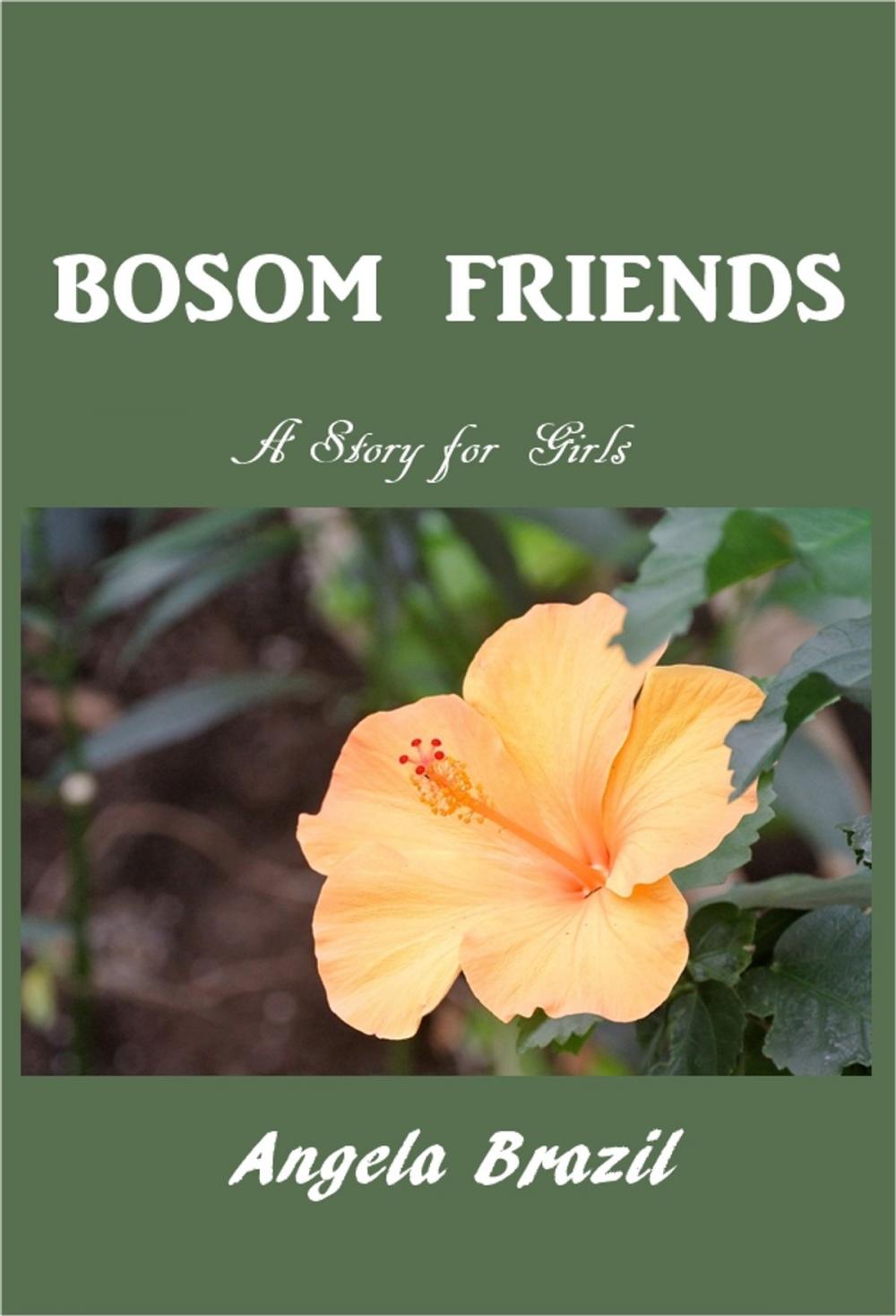 Big bigCover of Bosom Friends