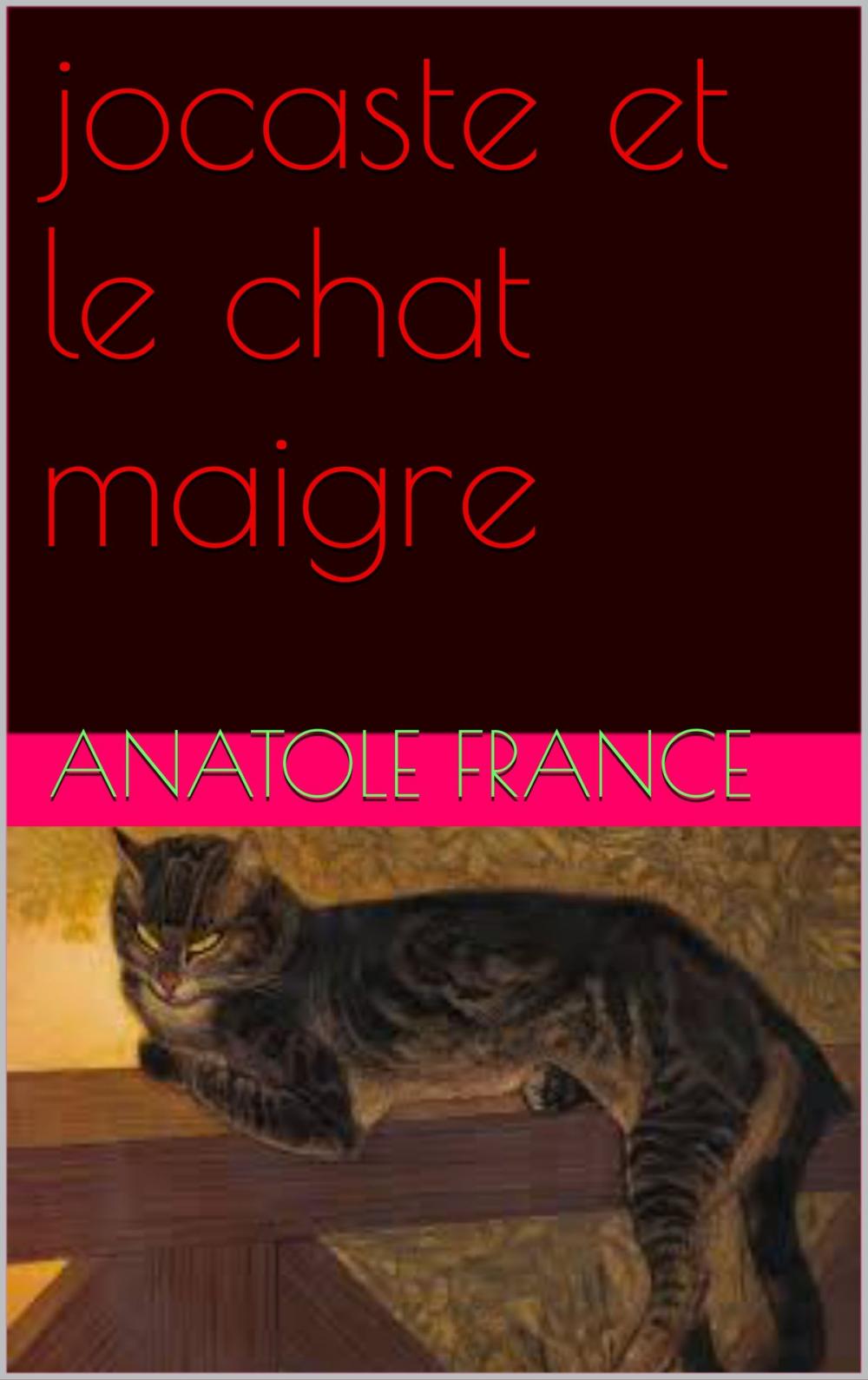 Big bigCover of jocaste et le chat maigre