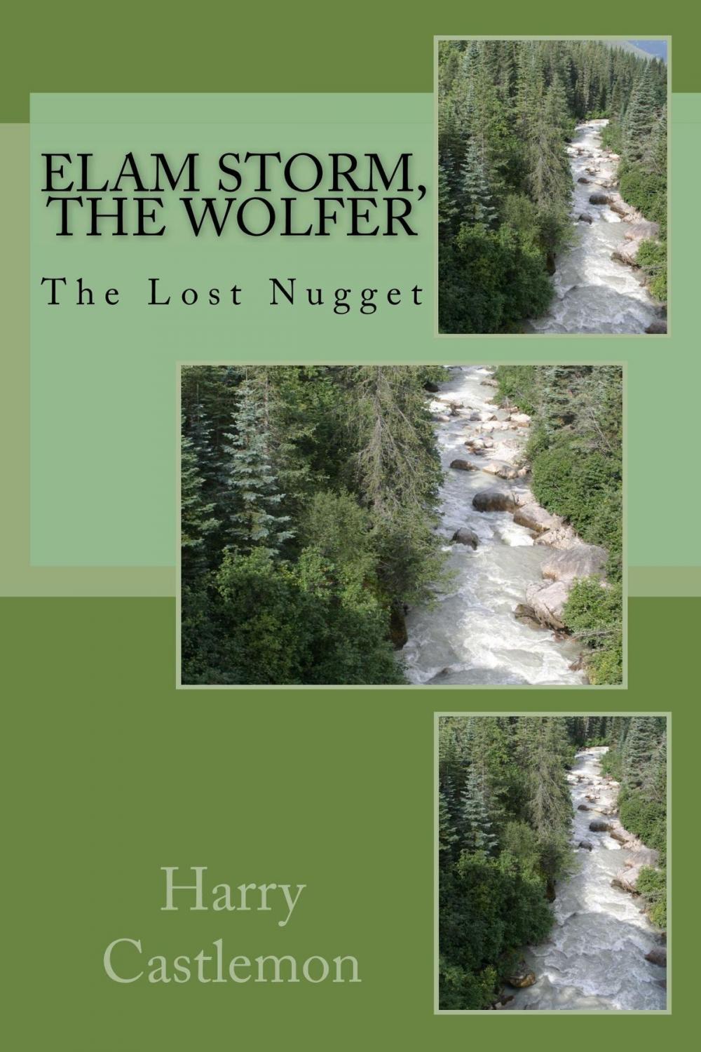 Big bigCover of Elam Storm, The Wolfer (Illustrated Edition)