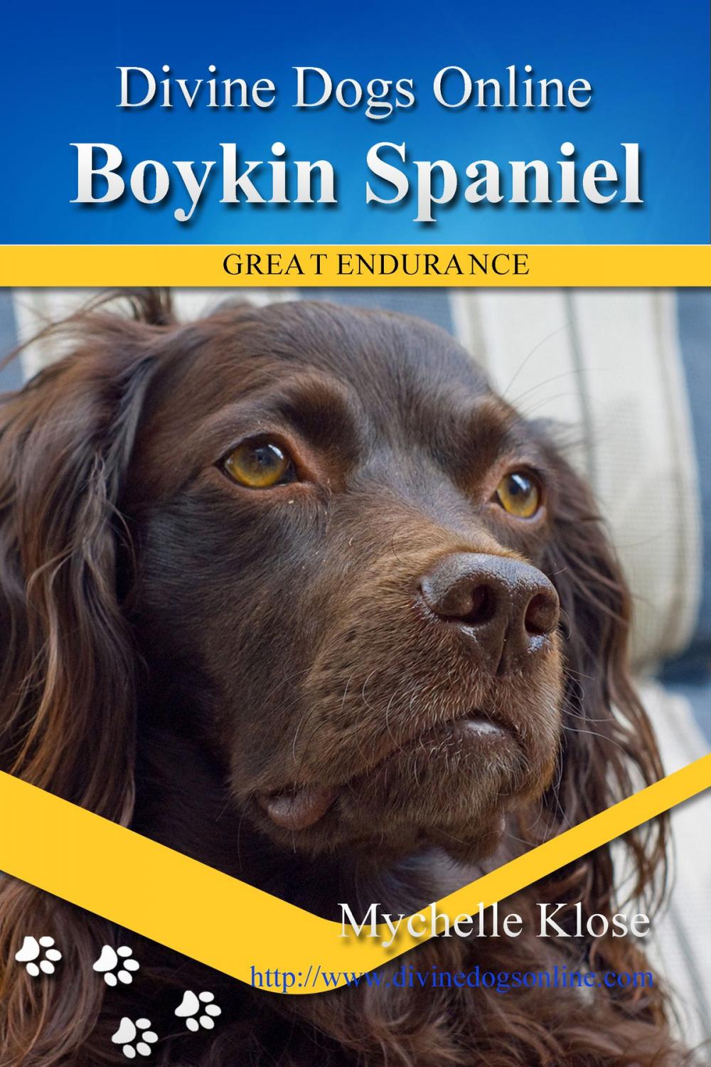 Big bigCover of Boykin Spaniel