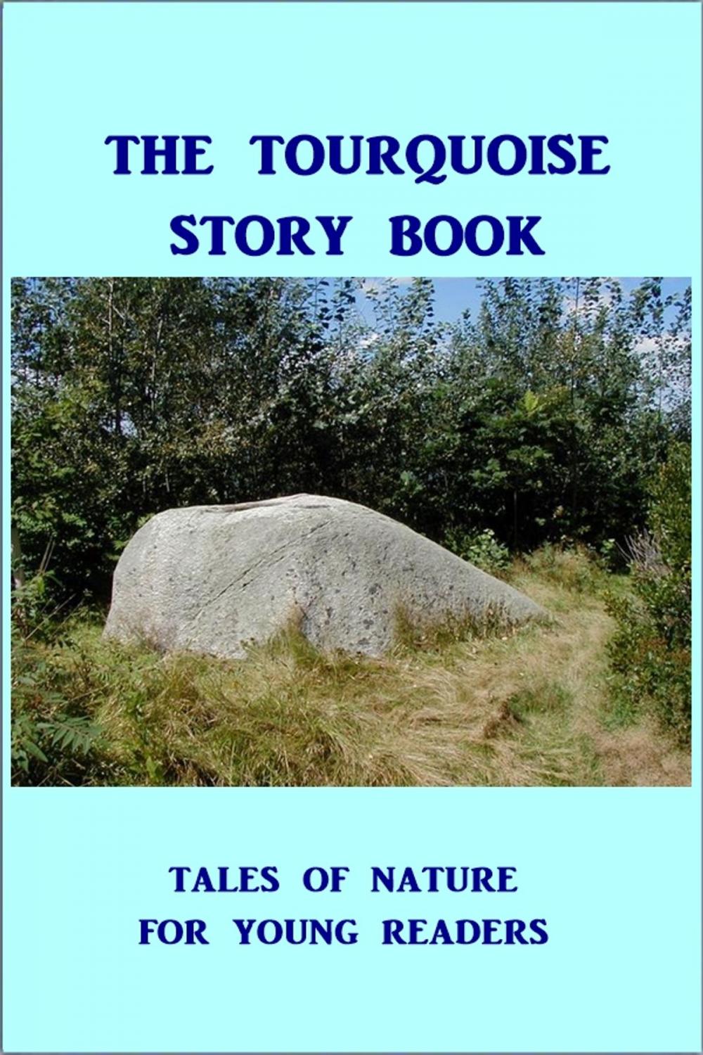 Big bigCover of The Tourquoise Story Book