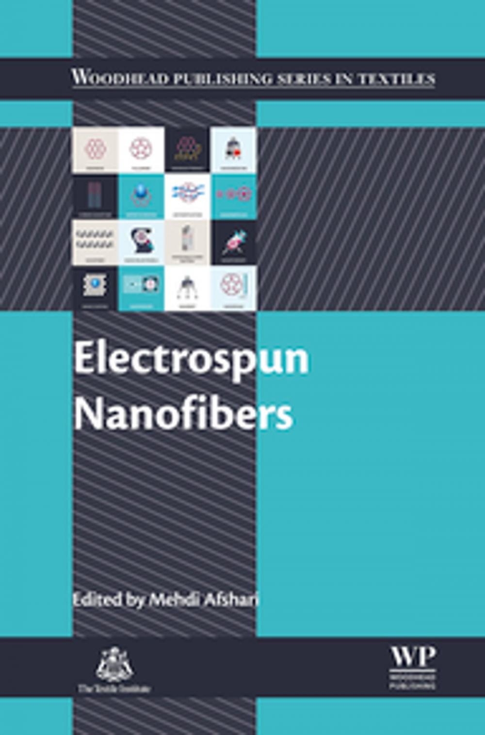 Big bigCover of Electrospun Nanofibers